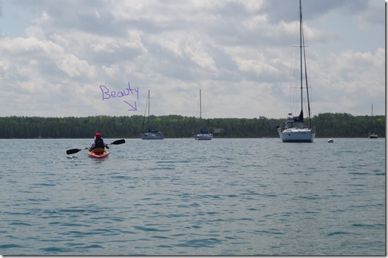 beautyInkedIMGP0716_LI